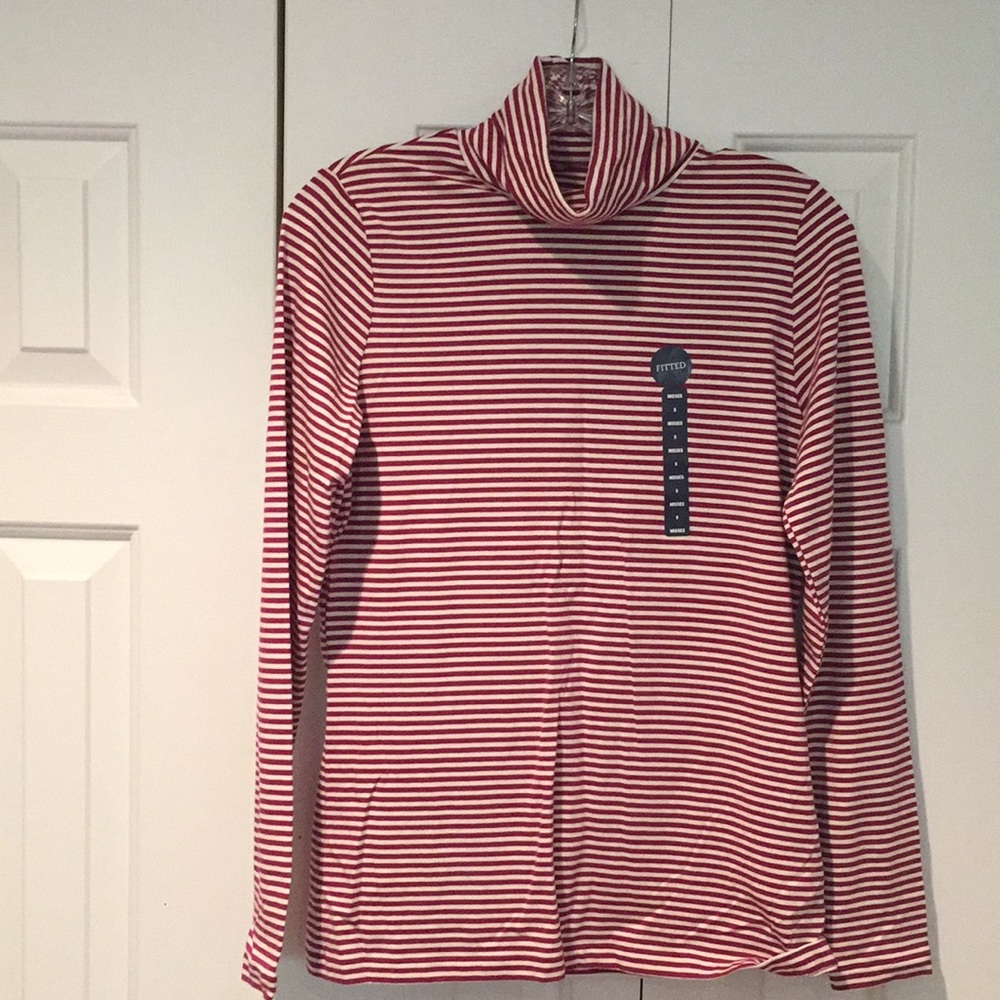 Lands End Turtleneck